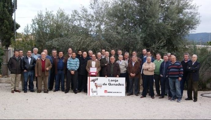 Reunión De La Lonja De Ganados De Mercamurcia 