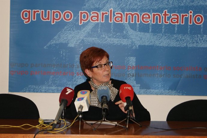 La Portavoz Del Grupo Parlamentario Socialista, Begoña García Retegui