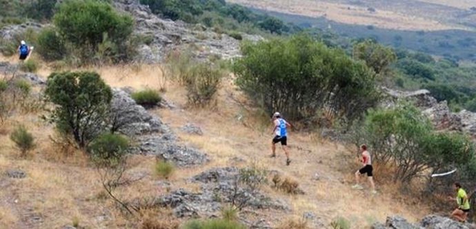 Corredores De Una Maraton