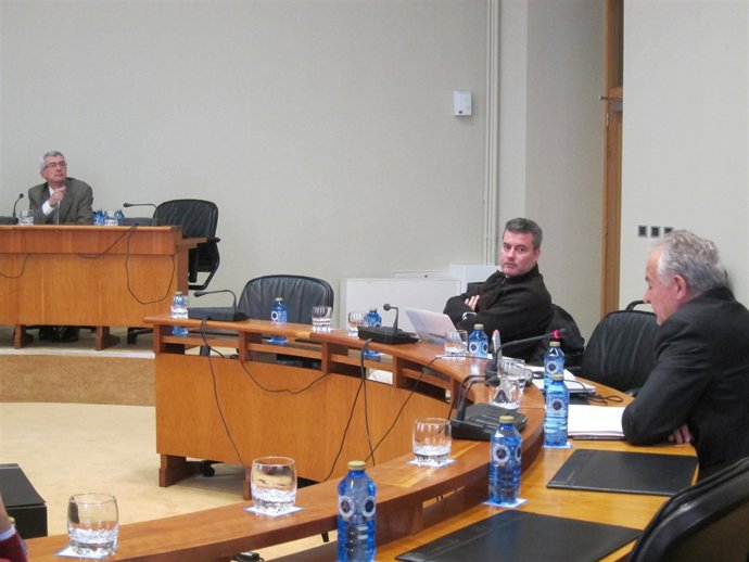 Foto Comisión Economía Ricardo Capilla