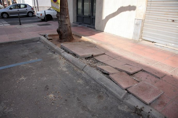 Árbol Daña Una Acera En La Calle Azorín 