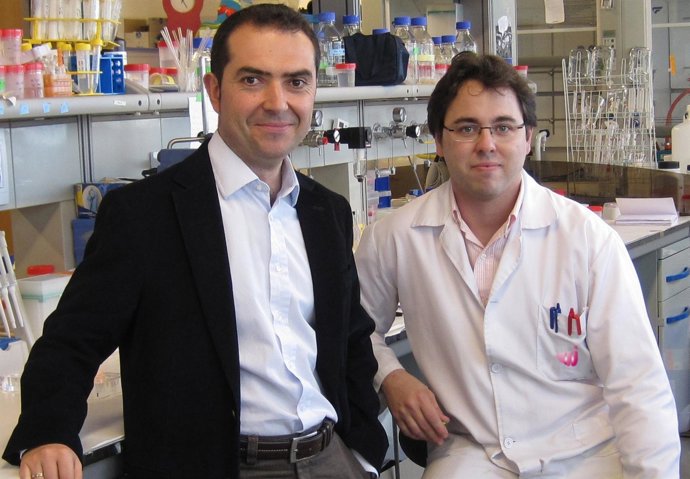 El Director General De 'Nanoimmunotech', Rubén Santos.