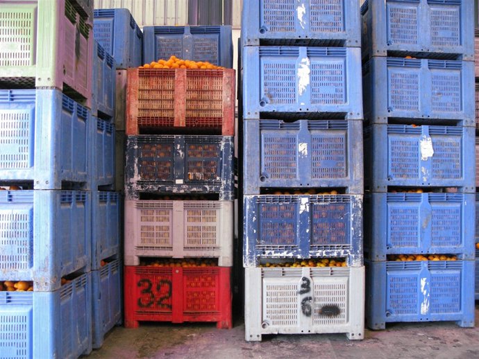 Naranjas Hurtadas En Benifairó Y Recuperadas Por La Guardia Civil