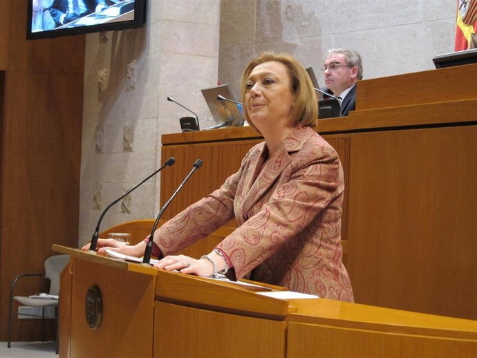 Luisa Fernanda Rudi En El Pleno De Hoy