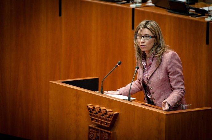 Cristina Teniente En El Pleno