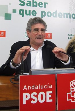 Luis Pizarro, Parlamentario Andaluz Del PSOE