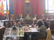 Pleno Ayuntamiento