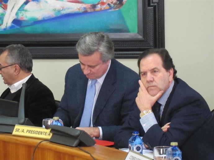 Foto Comisión García Borregón