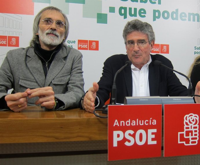 Luis Pizarro, Parlamentario Andaluz Del PSOE