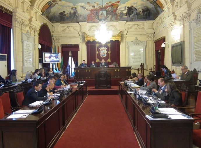 Pleno Del Ayuntamiento De Málaga