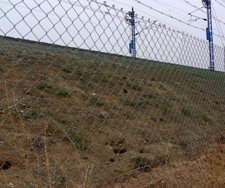 Madrigueras Y Conejos Atrapados En El Vallado De Vías De AVE