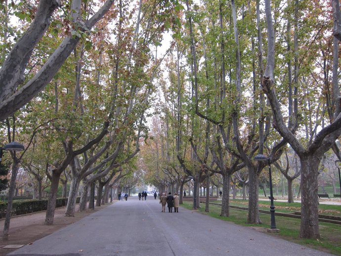 Avenida De Los Bearneses En El Parque Grande De Zaragoza