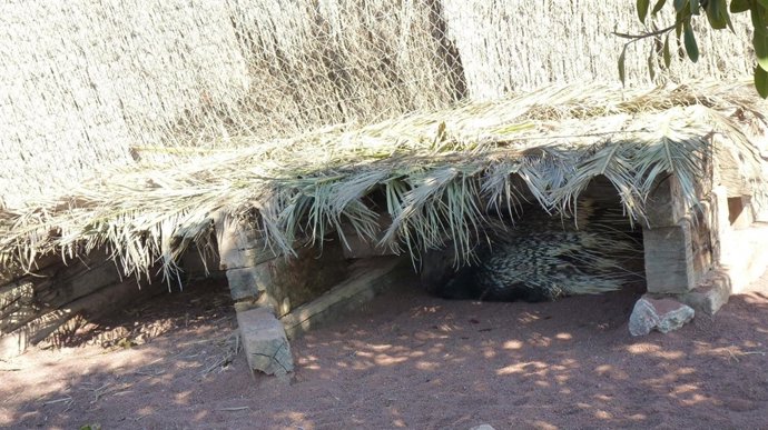 Instalaciones Pueroespín