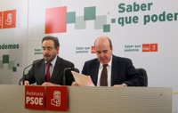 Zarrías sitúa el anuncio del Gobierno de recurrir subasta de fármacos en una "estrategia de acoso y derribo a Andalucía"