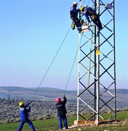 Operarios Colocan Cajas-Nido En Un Poste De La Línea De Alta Tensión De Mengíbar
