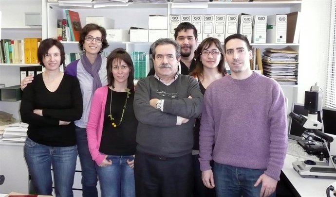 Imagen Del Equipo De Investigación