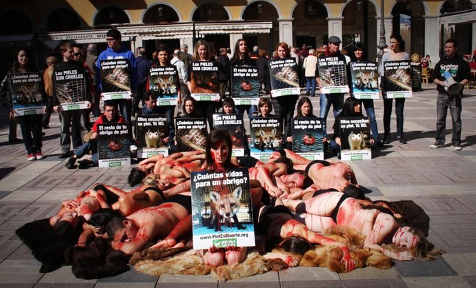 Acto De Protesta En Palma De Animanaturalis