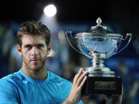 Del Potro gana en Marsella el décimo título de su carrera