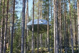 Hotel En Arbol En Suecia