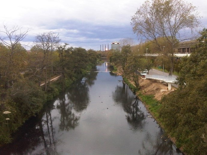 Márgenes De La Ría De Avilés, Tras La Mejora.