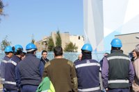 PSOE-A anima a participar en las movilizaciones del 29F