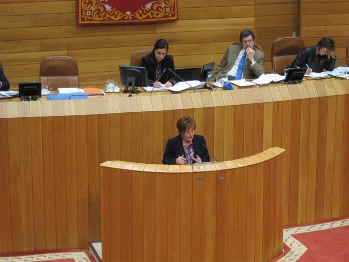 Foto Conseidade Rocí En El Par