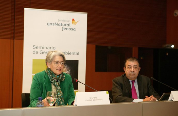 Goicoechea Y Pedro A. Fábregas (Fundación Gas Natural Fenosa).
