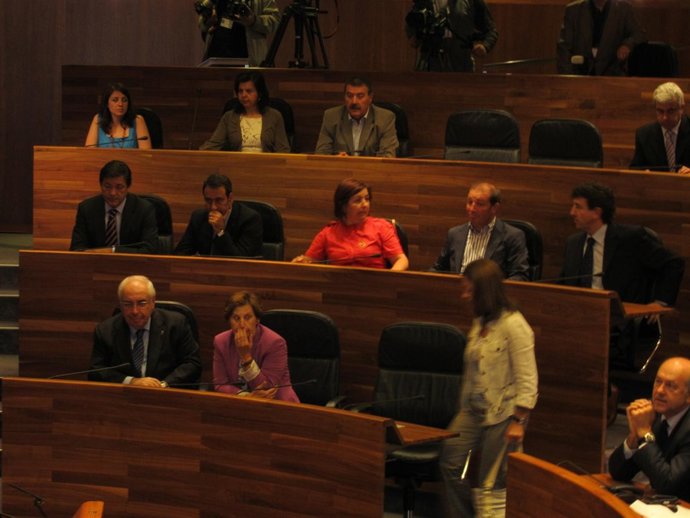 Vicente Álvarez Areces