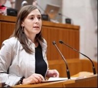 El PSOE considera que los cambios en el CDAN, "sin añadir más presupuesto, dejan en el aire el futuro del centro"