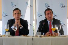 Rafael Sánchez-Lozano, Consejero Delegado De Iberia