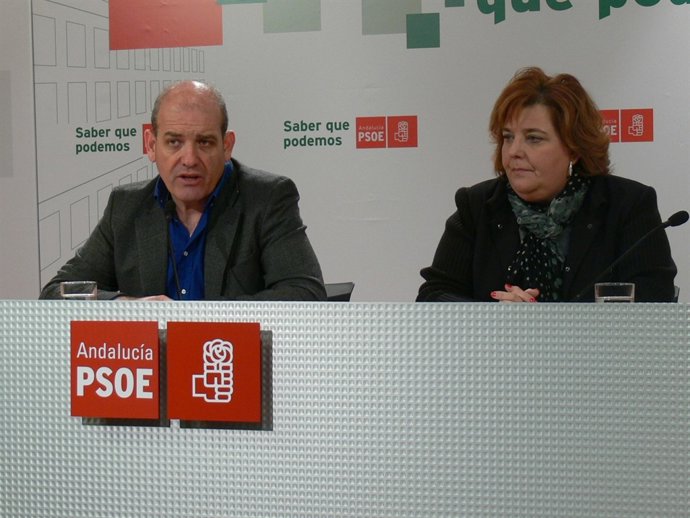 2 NP. PSOE Diputación Dependencia, Fondo De Gaviotas 20120229