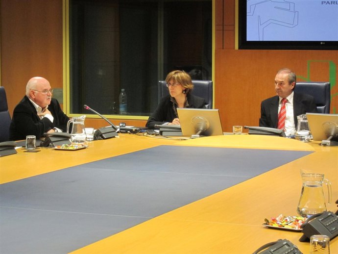 Mutiloa, En Su Comparecencia Ante El Parlamento Vasco