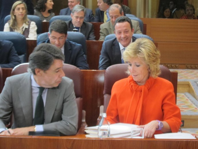 Pleno De La Asamblea De Madrid