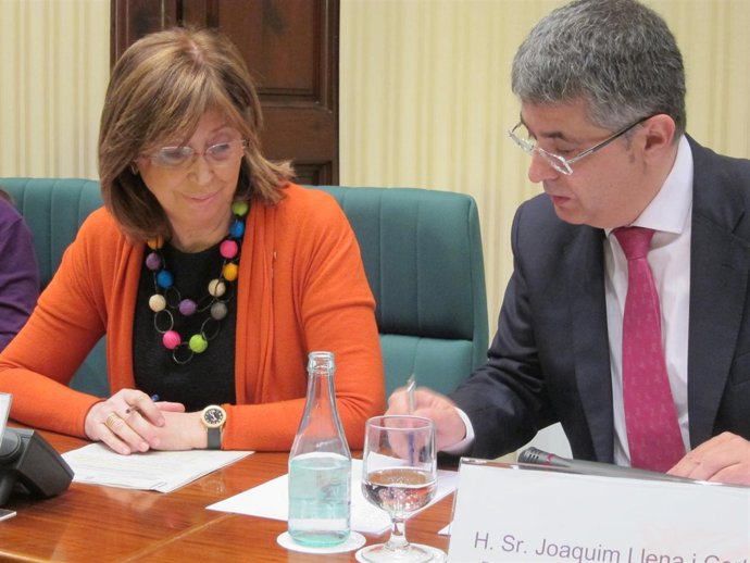 La Consellera De Enseñanza, Irene Rigau, En Comisión Parlamentaria