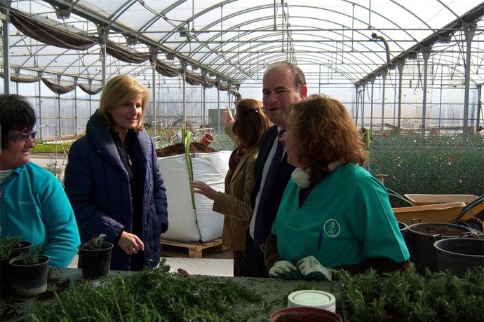 Oña, Durante La Visita