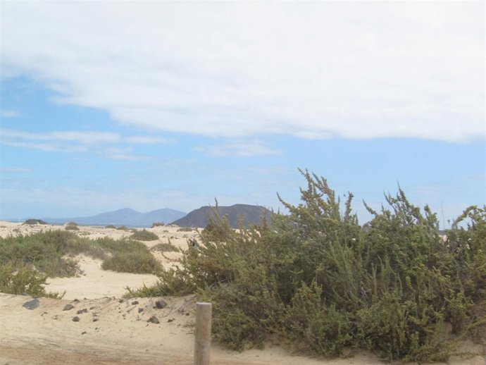 Paisaje Fuerteventura