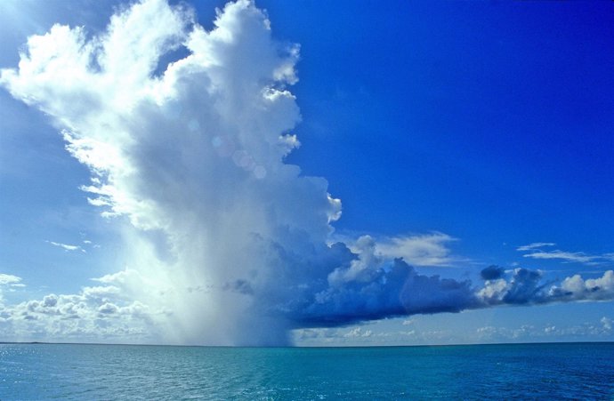 Paisaje Marino, Del Documental 'Mundos De Agua'