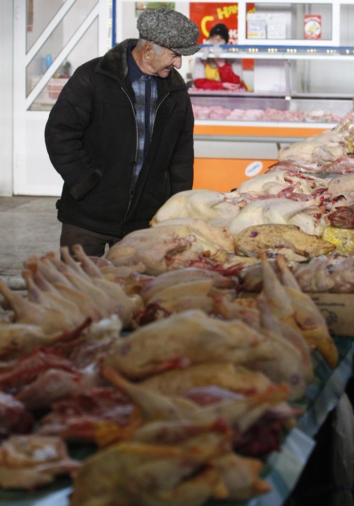 Carne de pollo