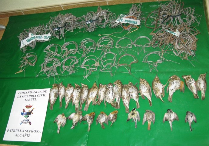 Ejemplares Incautados 