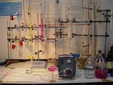 Colorantes Naturales Procedentes De Microalgas Que Estudian Expertos De La UJA.