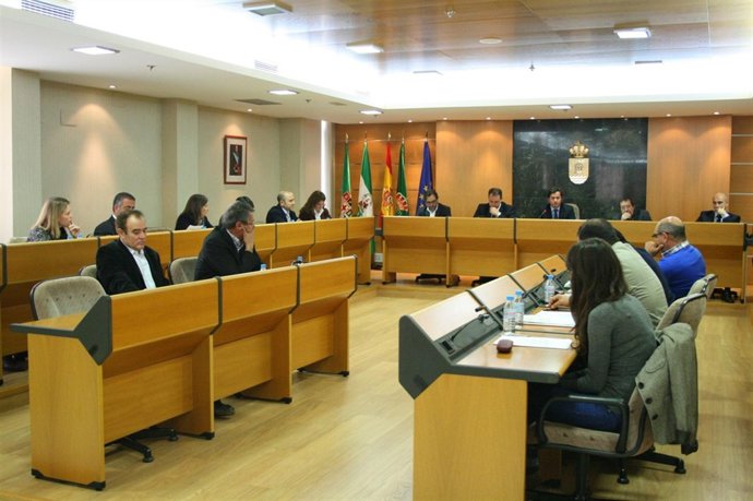 Sesión Plenaria En El Ejido Para Aprobar Los Presupuestos De 2012