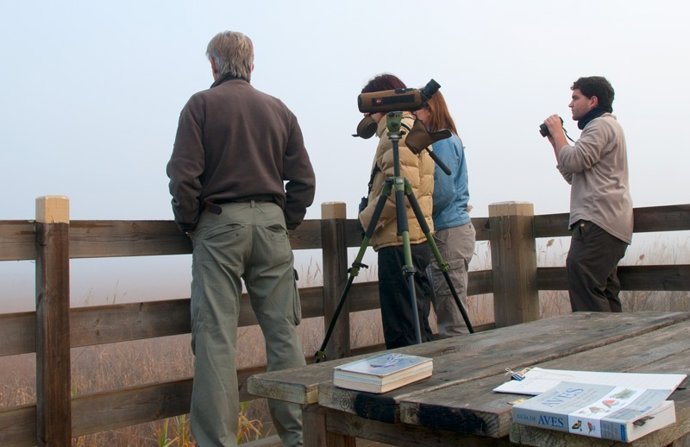 Ornitólogos Albufera
