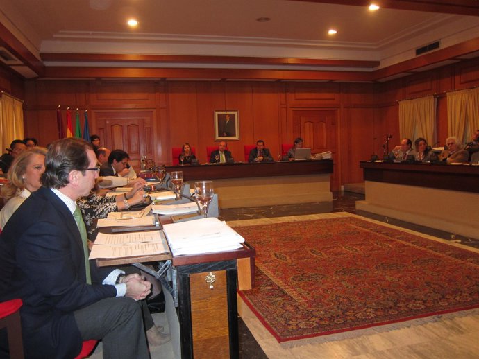 Pleno Del Ayuntamiento