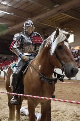 Torneos Medievales Con 'Knights Of Mayhem'
