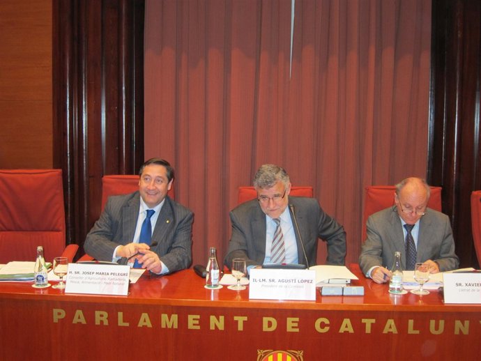 El Conseller J.M. Pelegrí En Comisión Parlamentaria