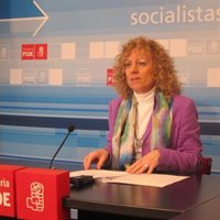 El PSOE acusa al Gobierno de no defender los intereses de Cantabria