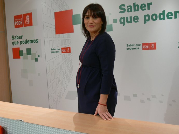Nota Prensa PSOE Voto Delegado En Diputación