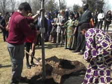 Varias Mujeres De Asociaciones Africanas Plantan Un Árbol En Homenaje A Mathaai