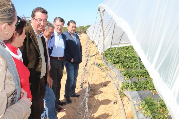 El Presidente Provincial Del PP De Huelva, Manuel Andrés González. 