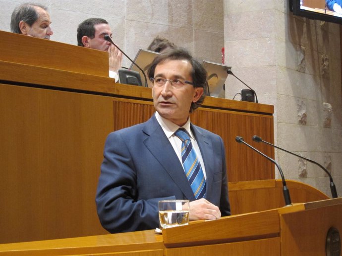 José Luis Saz, En El Pleno